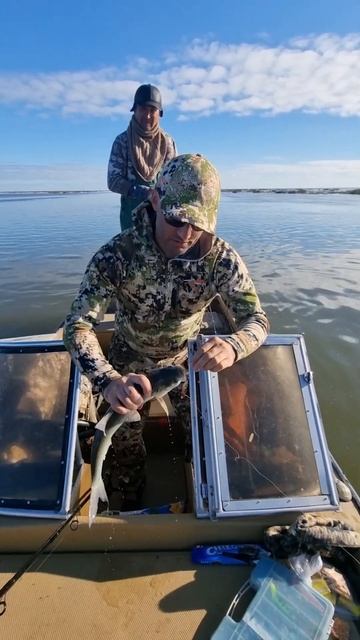 ХОРОШИЙ УЛОВ! #охотарыбалка #рыбалка #рыбаки #рыба #жер? смотреть онлайн