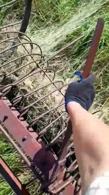 ДЕДОВСКИЕ КОННЫЕ ГРАБЛИ ещё ГРЕБУТ😮💪🚐👆 | #рек #рек? смотреть онлайн