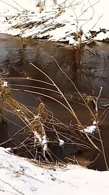 Хорошо рыбачится на мелкой речке. Хоть и нечего и не по