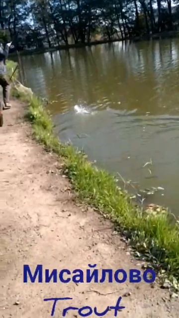 03.10.21 Мисайлово Trout смотреть онлайн