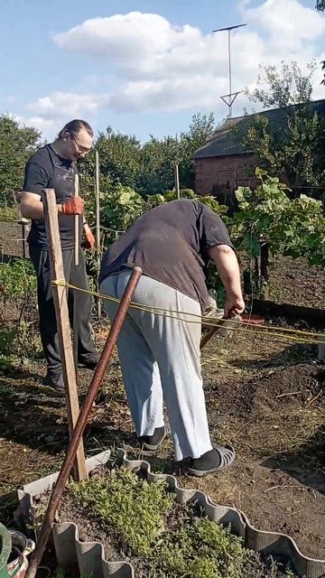 Закладаємо високі грядки під теплицю #дім #город #garden #? смотреть онлайн