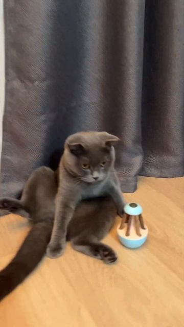 Зачем нужны игрушки если есть пакеты смотреть онлайн