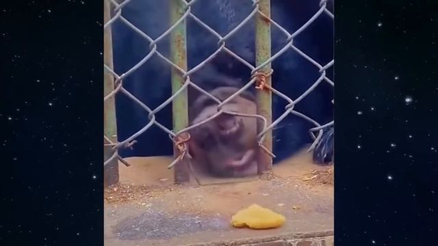 Я РЖАЛ ДО СЛЕЗ 6 МИНУТ ПРИКОЛОВ ЗАСМЕЯЛСЯ ПОДПИСАЛСЯ ТЕСТ НА ПСИХИКУ ЛЮТЫЕ ПРИКОЛЫ ВАЛЯЛСЯ НА ПОЛУ смотреть онлайн