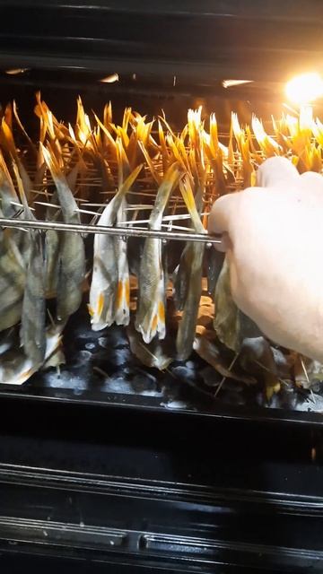 Разнообразие и развлечение