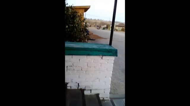 В доски пьяный Вася. смотреть онлайн