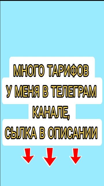 7 сентября 2024 г.