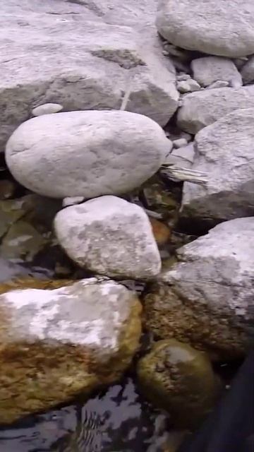 Готовы к новому сезону? - Рыбалка на горную форель в Кы? смотреть онлайн