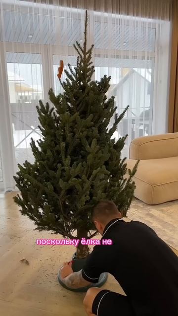 Второй год ставим живую елку, невероятная атмосфера ❄ смотреть онлайн