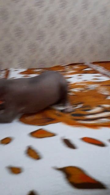 5 ноября 2022 г. смотреть онлайн