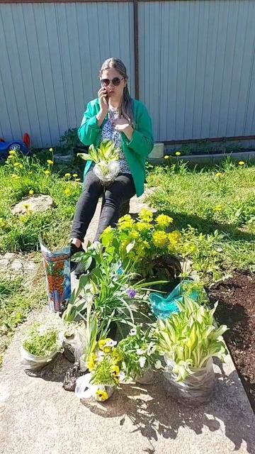 🤣#юмор #смех #прикол #дача #цветы #покупки #жена #муж#жи? смотреть онлайн