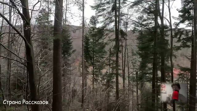 -Давай сюда свою премию, у меня завтра запись на подтяжку! Но невестка ответила... смотреть онлайн