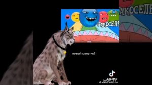 тик ток подборка wild craft✌//Akill//видео не мои