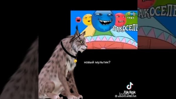 тик ток подборка wild craft✌//Akill//видео не мои