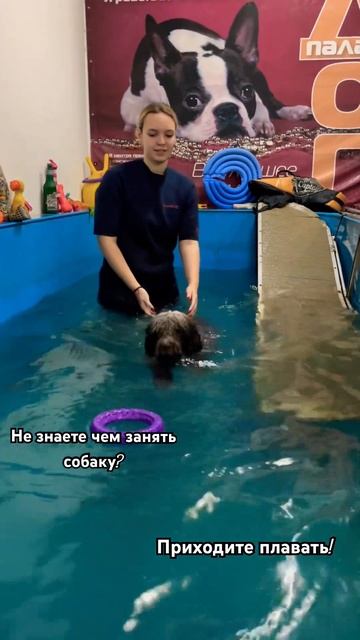 Занятия в бассейне очень полезны, приходите и вы❤️ смотреть онлайн