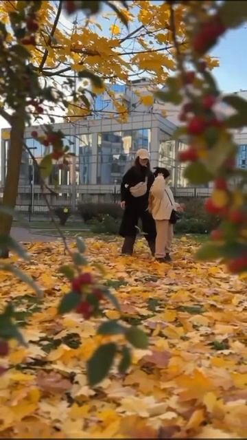 Счастье есть❤️🍁 #2024 смотреть онлайн