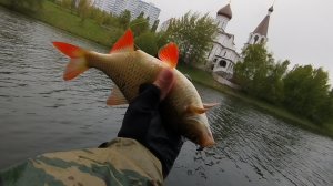 Рыбалка 2025 на боковой кивок Безмотылка