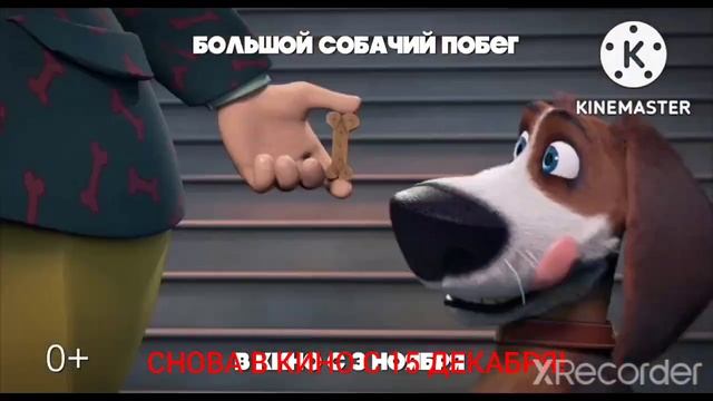 Большой собачий побег - ролик 15 сек смотреть онлайн