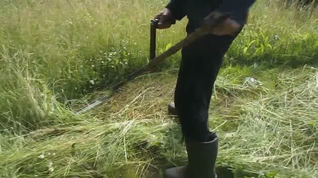 Косьба ручной косой 5.07.2018. смотреть онлайн