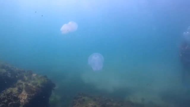 Ян в гостях у DIVING + Одесса смотреть онлайн