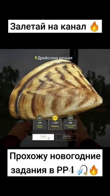 РР4 - ЭКСТРА - Этап 2, задание 3  #fishing #Рр4 #рр4вьюнок #рр4ст?