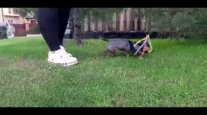 Стальной мрамор