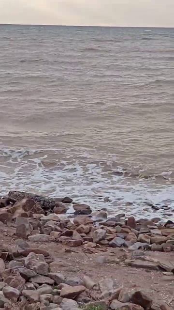 Ейск Азовское море смотреть онлайн