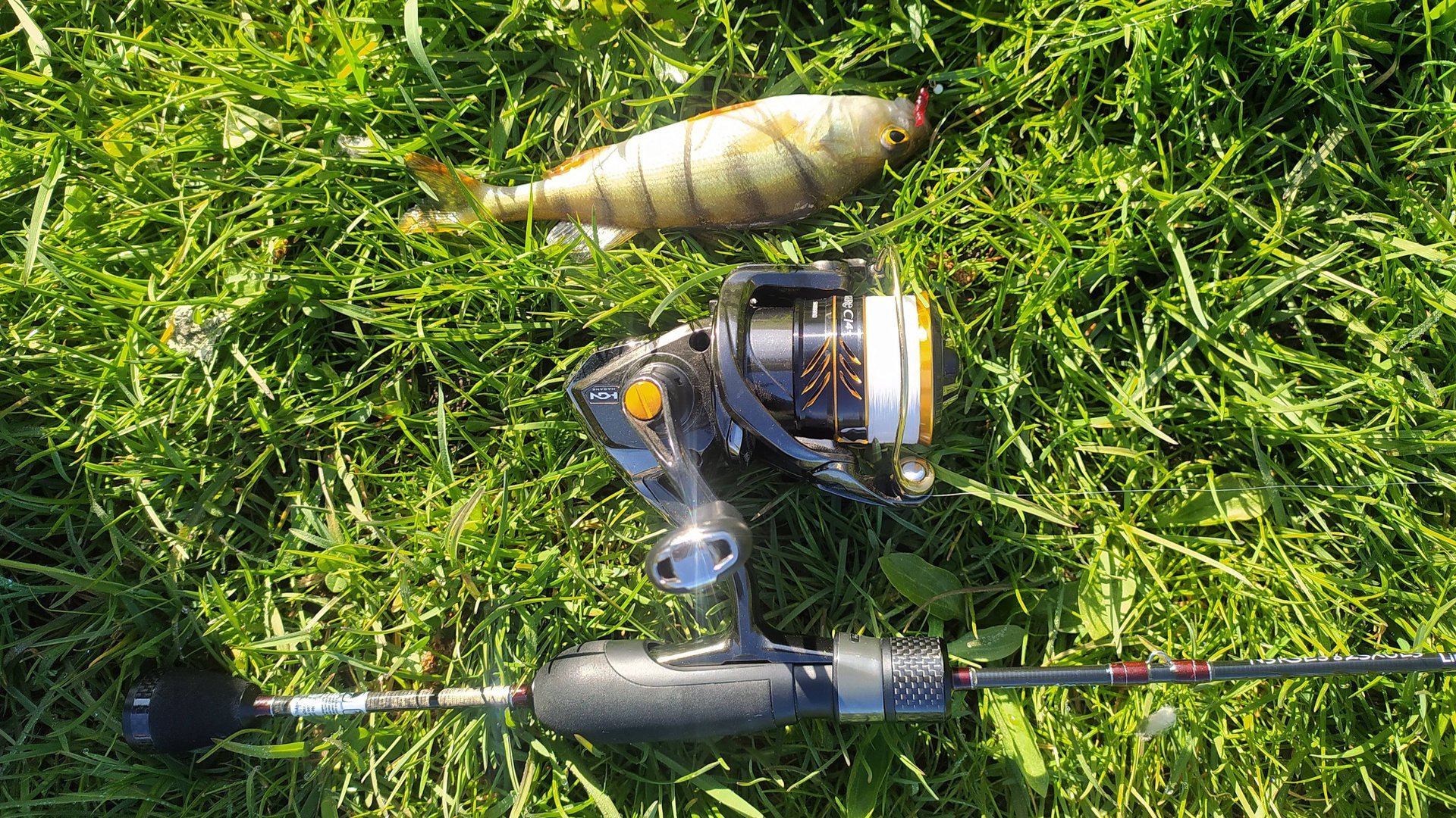 МОРМЫШИНГ. Тестирование шаромышек 0,1гр.