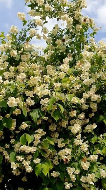 Севастополь. Крым. #посуточно #делюсьопытом #арендажил смотреть онлайн