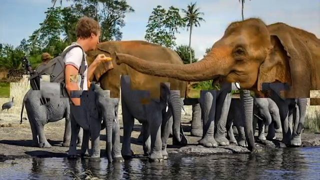 Дети Африки слоны // Kids of Africa elephants смотреть онлайн