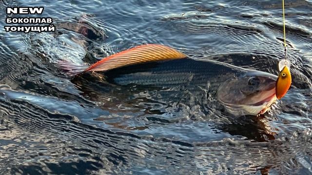 Новинка Тонущий Триумф бокоплав!