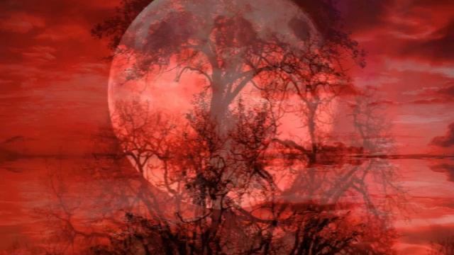 КАРТИНА смотреть онлайн