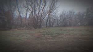 Измена жены. Они были в сауне в офисной одежде, без куп?