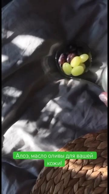 Волшебные баночки с алоэ. #алоэвера #алоэ #уходзакож смотреть онлайн