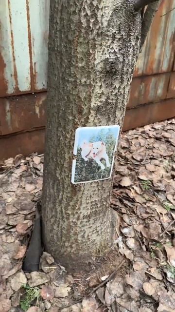 ЕСТЬ ДОБРЫЕ ЛЮДИ НА СВЕТЕ 🥺 смотреть онлайн