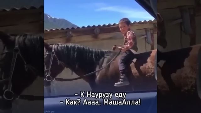 Юный карачаевец с молоду в седле 🐴 смотреть онлайн