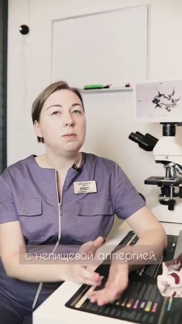 ❓Бывает ли аллергия на еду? #skolkovovet #сколкововет #ветер смотреть онлайн