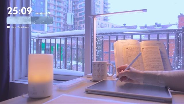 3 часа StudyWithMe Calm LoFi Music On A Snowy Day - Pomodoro 50/10