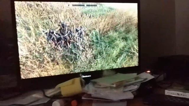 Жопой по земле / Skyrim / баги , приколы смотреть онлайн