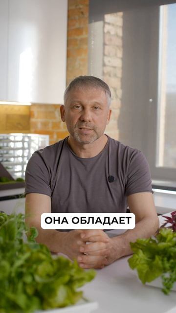 Чудо-зелень от СТРЕССА и СТАРЕНИЯ! #здоровье #питание #? смотреть онлайн