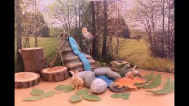 Лесной родничок смотреть онлайн