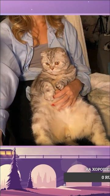 У стримлера есть пушистый заместитель #twitchstreamer lizardovna ? смотреть онлайн