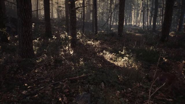 Blair Witch ► ПРОХОЖДЕНИЕ #1 смотреть онлайн