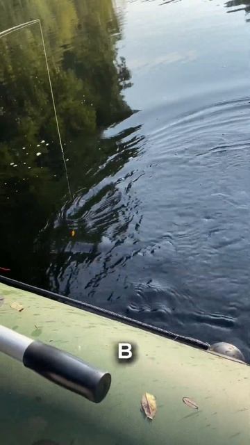 Щука vs спиннинг salmo #щука #рыбалка #fishing #отдых #хобби #hobb