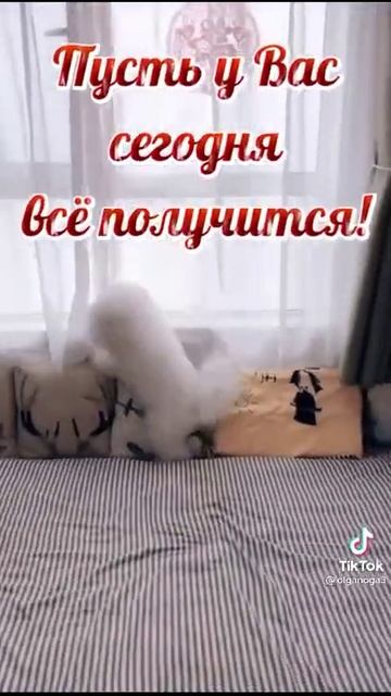 23 апреля 2021 г.