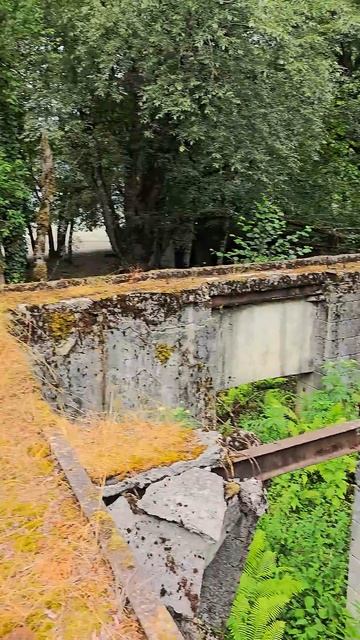 Сгоревшая в 1956 году дача Сталина на Рице, Абхазия. The burn смотреть онлайн