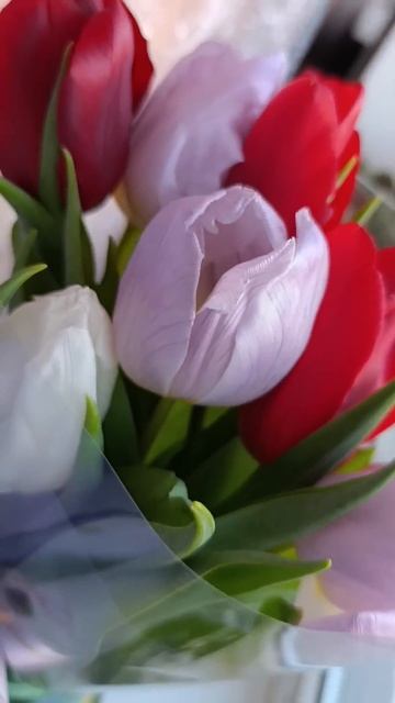 #даритеженщинамцветы#цветы#тюльпаны смотреть онлайн