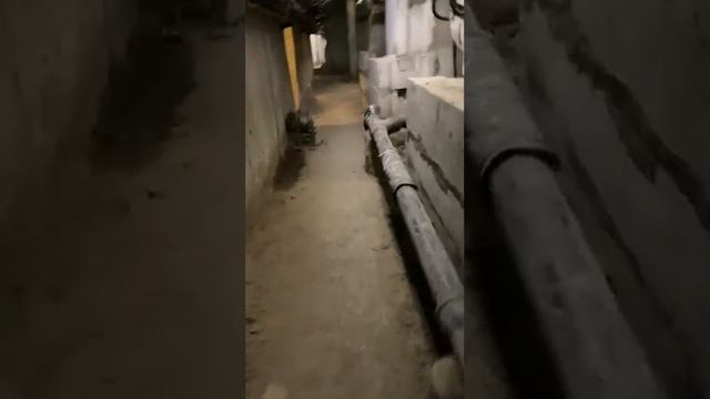 Состояние подвала смотреть онлайн