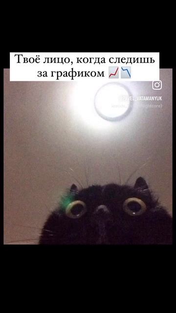 Твоё лицо, когда следишь за графиками 📈📉 #криптовалю смотреть онлайн
