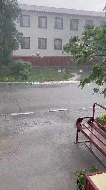 Зонтик тут не помощник. Только в одном ➕, поливать цве смотреть онлайн