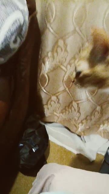 есть три вида мужчин. смотреть онлайн